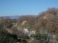 cantara piccole gole19022012 077